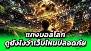 แทงบอลโลก ดูยังไงว่าเว็บไหนปลอดภัย
